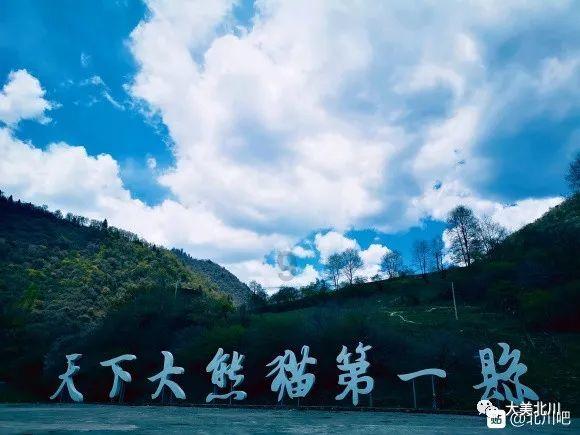 寂静森林找星星